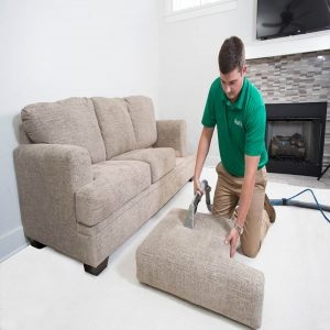 Cushion Cleaning Services -Doormojo